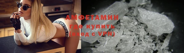 крисы Баксан