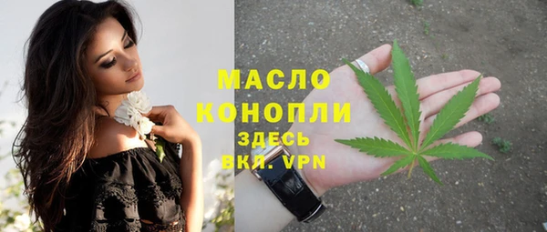 прущие грибы Михайлов