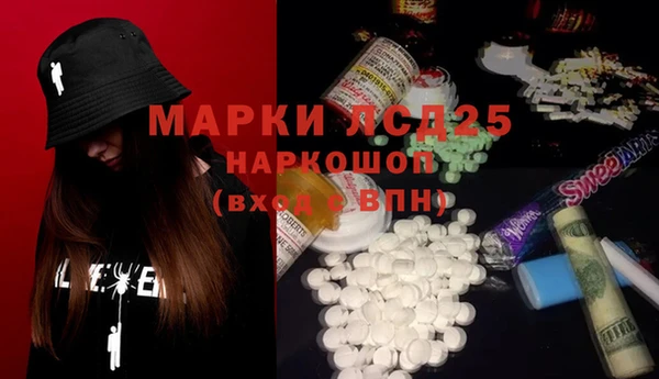 крисы Баксан